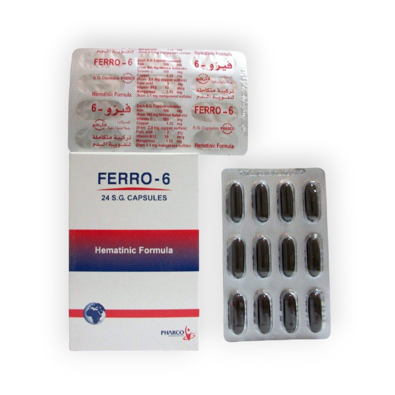 FERRO-6 24 CAPSULES