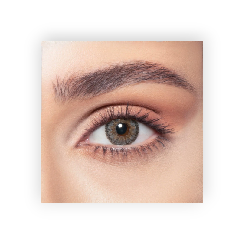 BELLA ELITE COLOR LENSES (CONTOUR GRAY) MONTHY