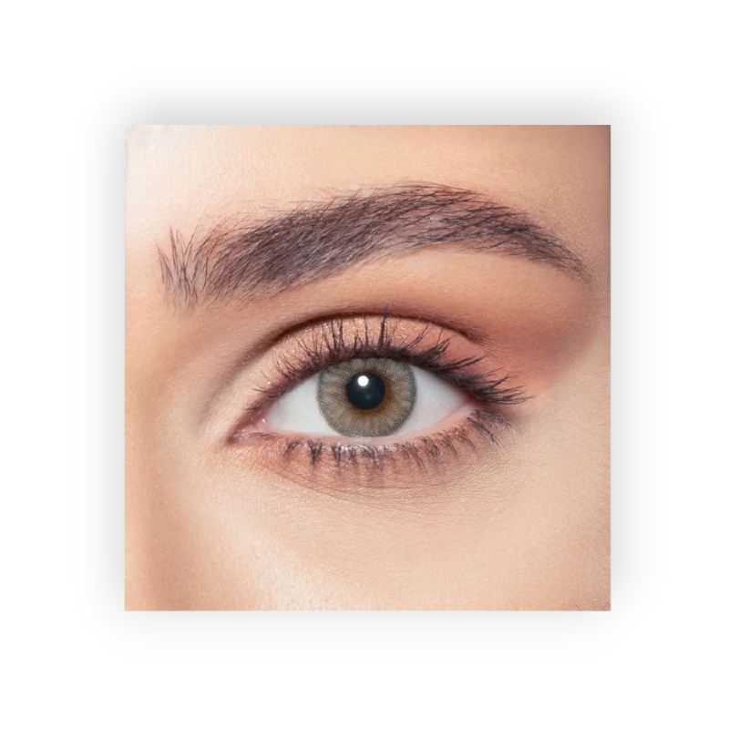 BELLA COLOR LENSES (ROSE WOOD) ONE DAY