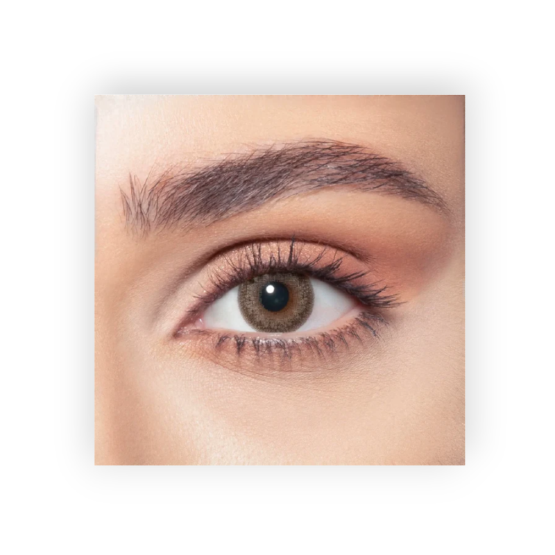 BELLA COLOR LENSES (ASH BROWN) ONE DAY