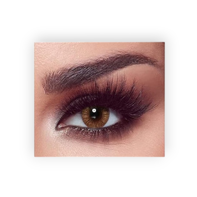 BELLA COLOR LENSES (ALMOND BROWN) ONE DAY