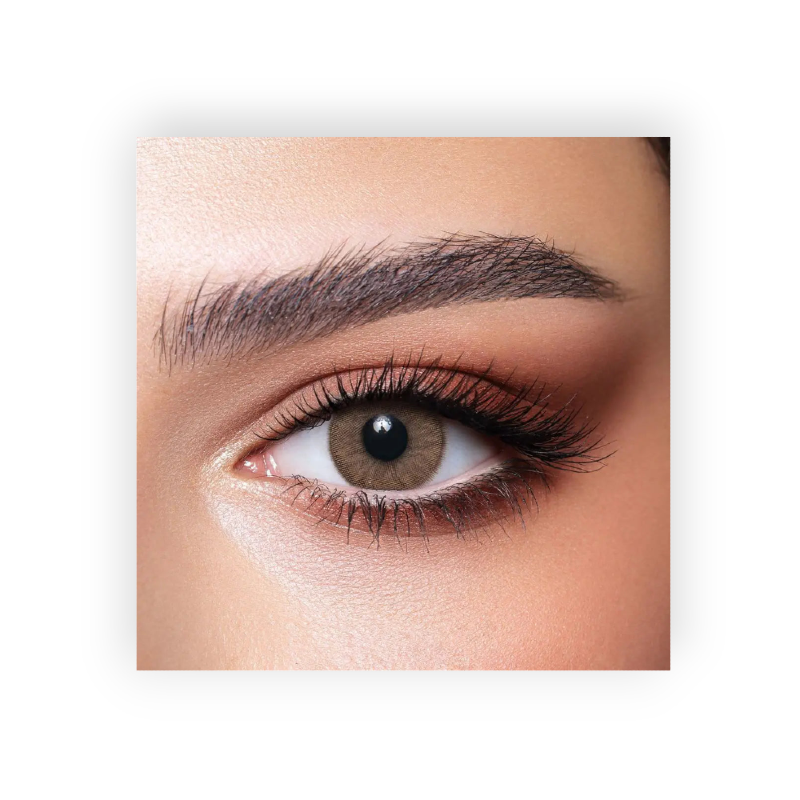 BELLA COLOR LENSES (COVE) ONE DAY