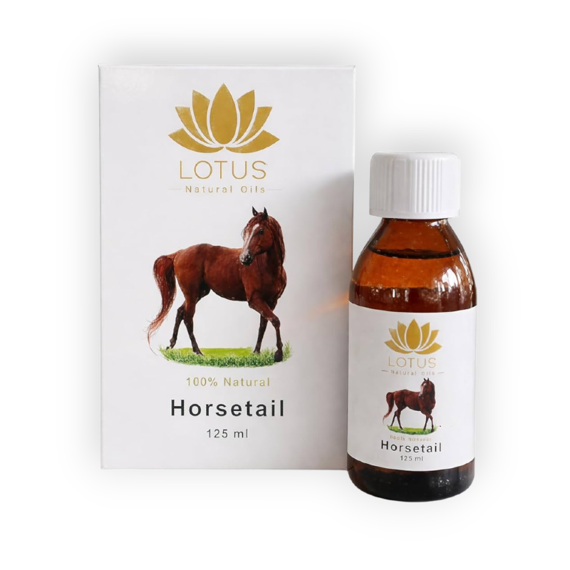 LOTUS HAIR OIL (HORSETAIL) 125ML حصان
