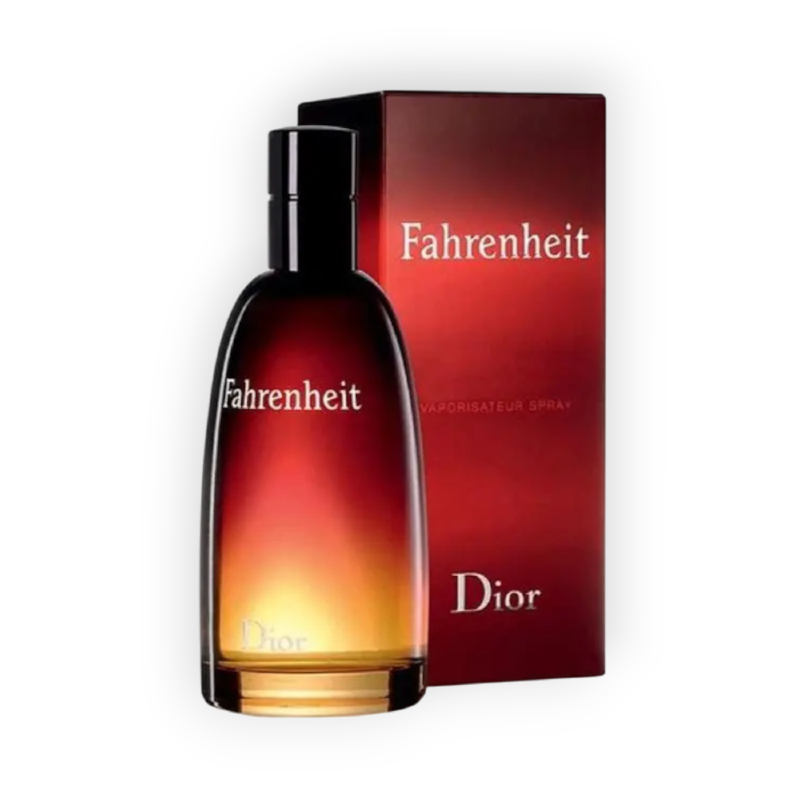 FAHRENHEIT DIOR EAU DE PARFUME FOR MEN 100 ML